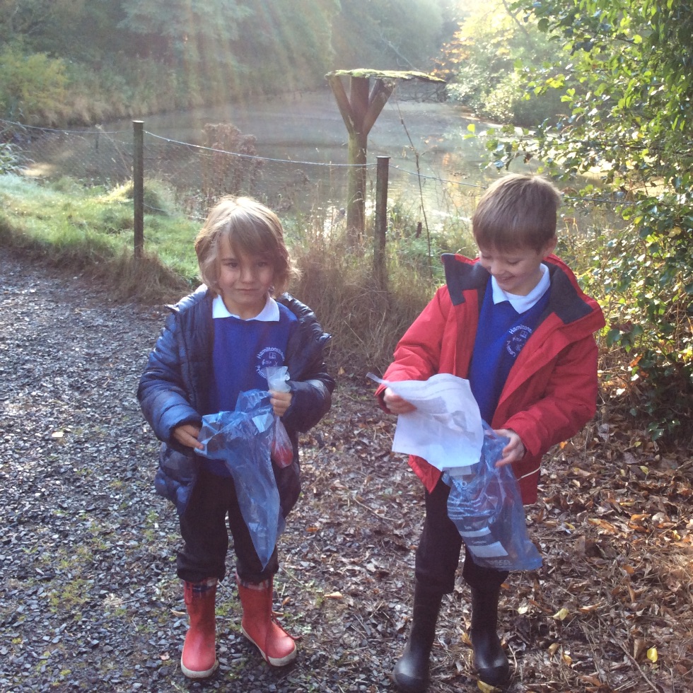 Our Autumn Book