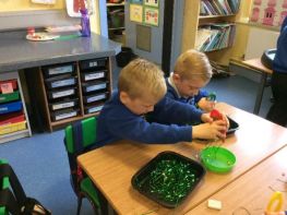 P2 Ladybirds 