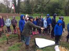 Tree Planting