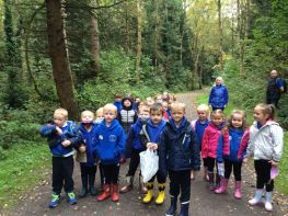 Gosford Autumn Walk P1&2