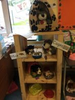 Pets and Vets in P2/3