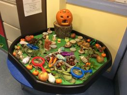 Autumn in P2/3