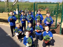 Centenary Sensory Garden and Polytunnel completion
