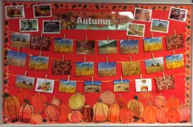 Autumn in Primary 5 🍁🍎