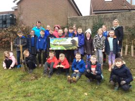 Hedge Planting by Primary 5 🍃
