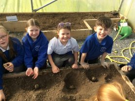 Potato success for Eco Club 🥔