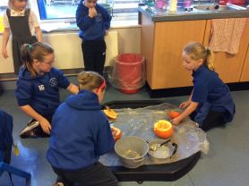 Pumpkins in P3/4