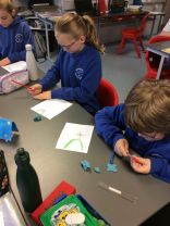 Primary 7 – Designing Medals of Honor