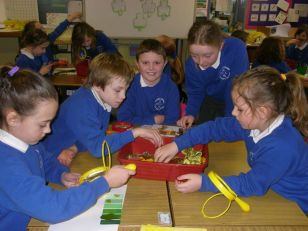 P4/5 STEM Workshops - Week 3