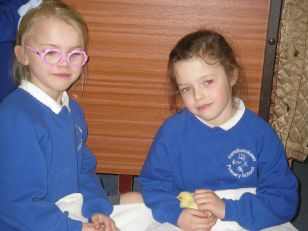 Easter chicks arrive in School!