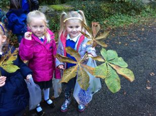 Autumn Walk in Gosford Forest Park