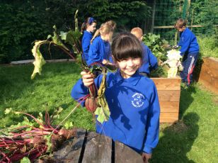 Eco In Full Swing