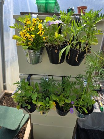 Outdoor Learning in Our School Polytunnel