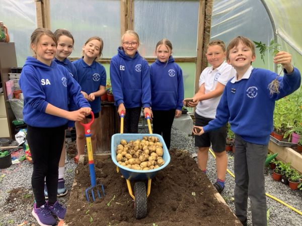 Potato success for Eco Club 🥔