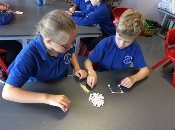 Earthquake Proof Building Challenge in Primary 5