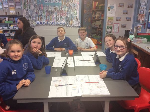 Ice Melting Experiment in Primary 6 ❄️