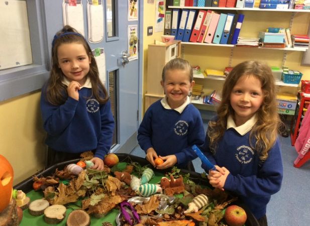 Autumn in P2/3