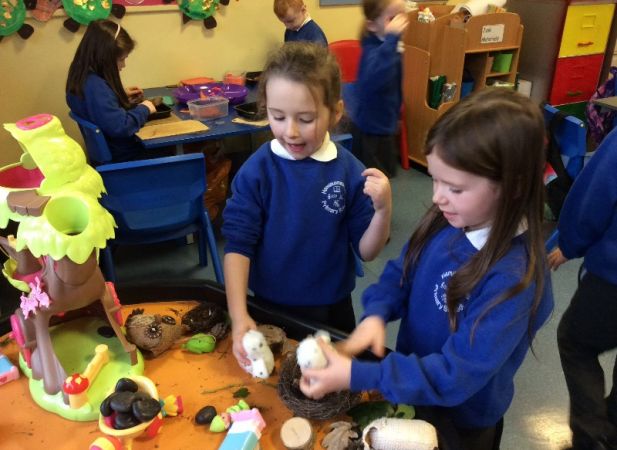 Owls in P2