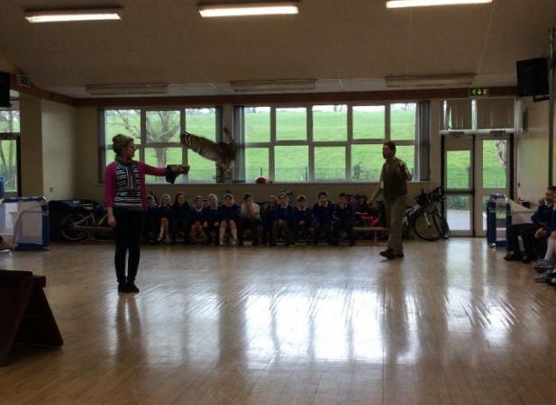 Birds of Prey Visit School