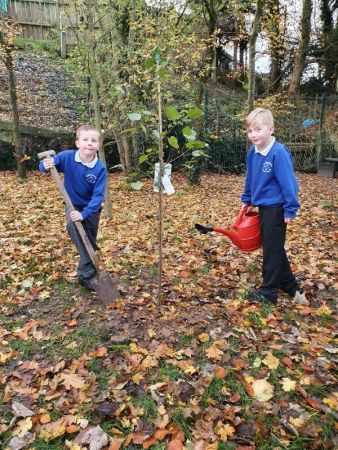 Tree Planting and Enjoying the Outdoors 🌳