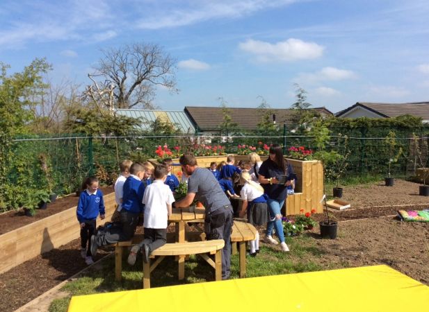 Centenary Sensory Garden and Polytunnel completion