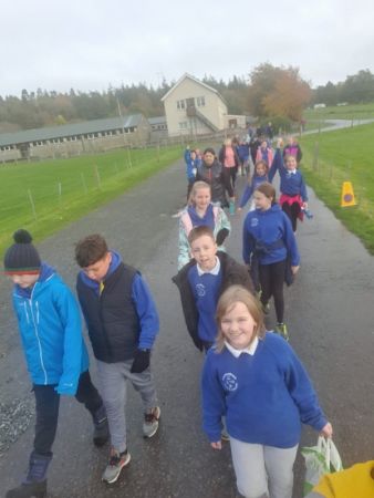 Sponsored Activity Morning in Gosford Forest Park